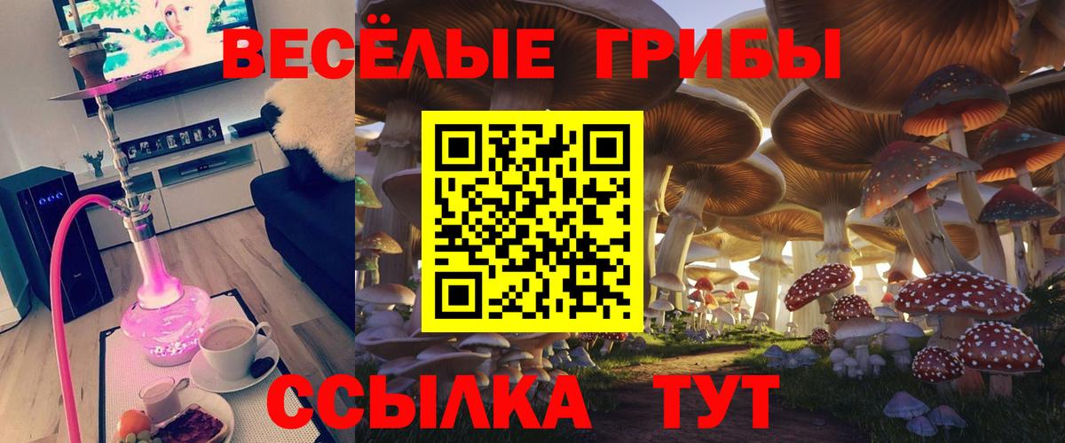Псилоцибиновые грибы прущие грибы  Вход с VPN  Ленинск-Кузнецкий 